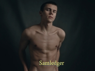 Samledger
