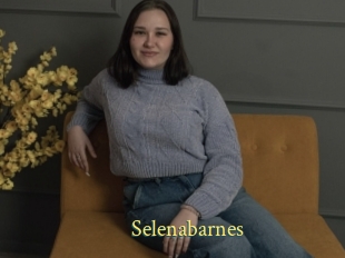 Selenabarnes