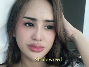 Shadowreed