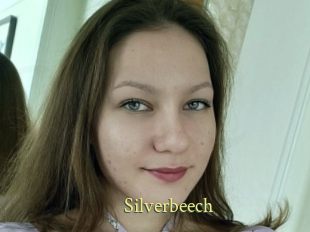 Silverbeech