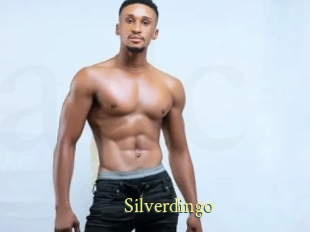 Silverdingo