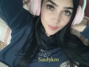 Sindykro