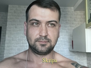 Skripa