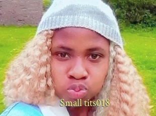 Small_tits018