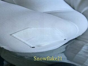 Snowflake21
