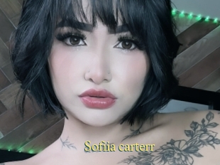 Sofiia_carterr