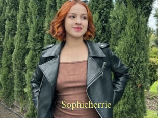 Sophicherrie