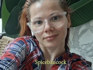 Spicebancock