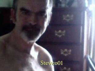 Stewco01