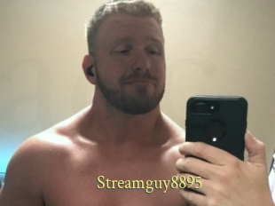 Streamguy8895