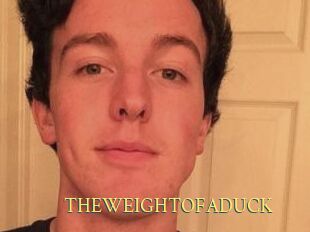 THEWEIGHTOFADUCK