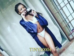 TINY20004