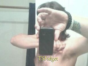 TSFidget