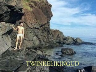 TWINKELIKINGUD