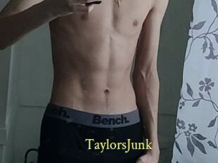 TaylorsJunk