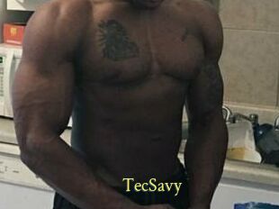 TecSavy