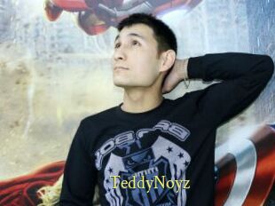 TeddyNoyz
