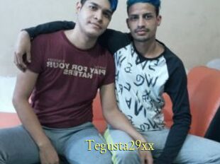Tegusta29xx