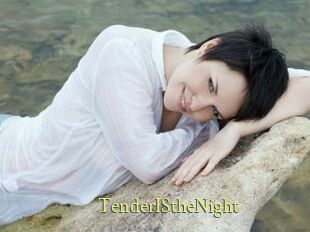 TenderIStheNight