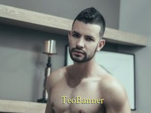 TeoBanner