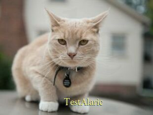 TestAlaric