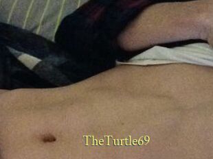 TheTurtle69