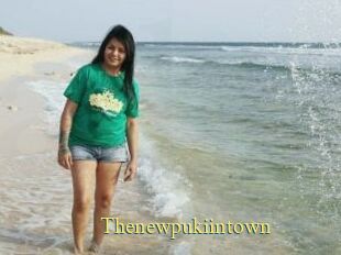 Thenewpukiintown