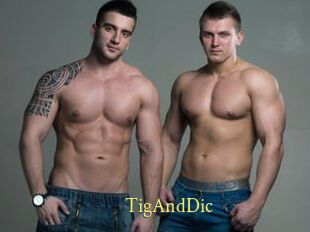 TigAndDic