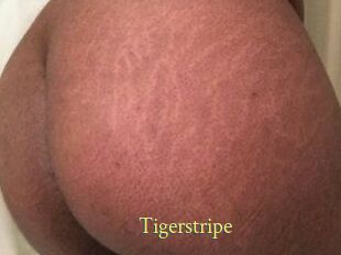 Tigerstripe