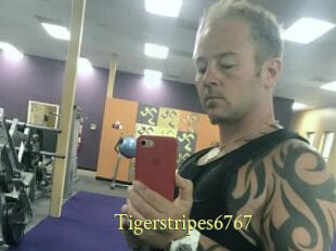 Tigerstripes6767