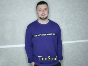 TimSoul