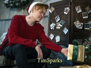 TimSparks