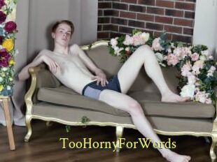 TooHornyForWords