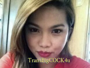 TransBigCOCK4u