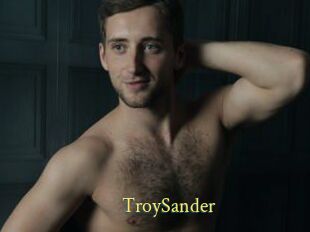 TroySander