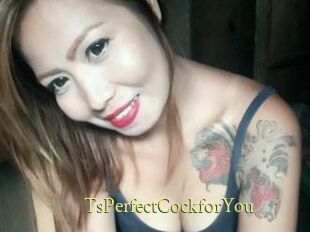 TsPerfectCockforYou