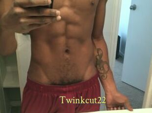 Twinkcut22