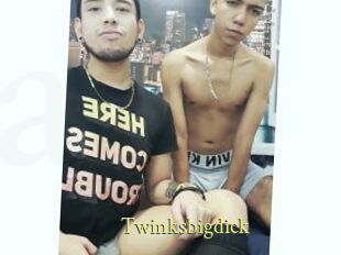 Twinksbigdick