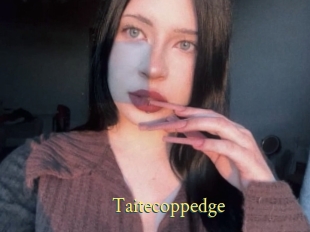 Taitecoppedge