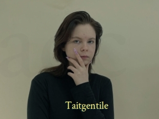 Taitgentile