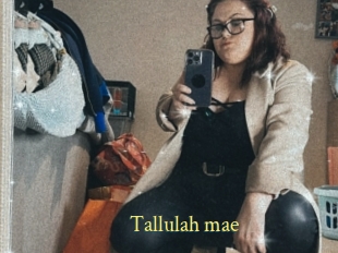 Tallulah_mae