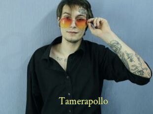 Tamerapollo