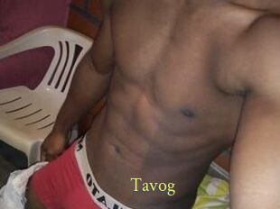 Tavog