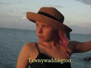 Tawnywaddington