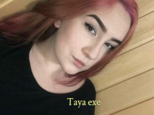 Taya_exe
