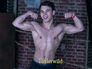 Taylerwild