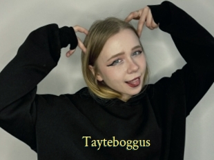 Tayteboggus