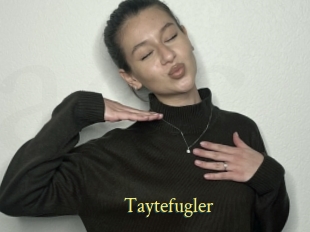 Taytefugler