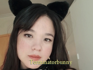 Terminatorbunny