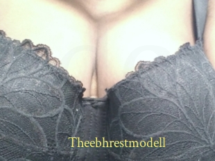 Theebhrestmodell